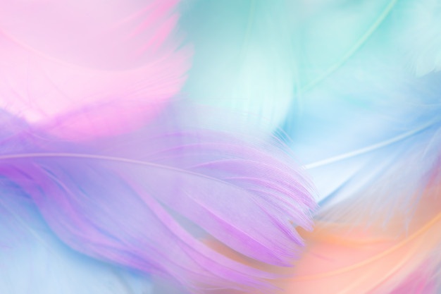 bg1